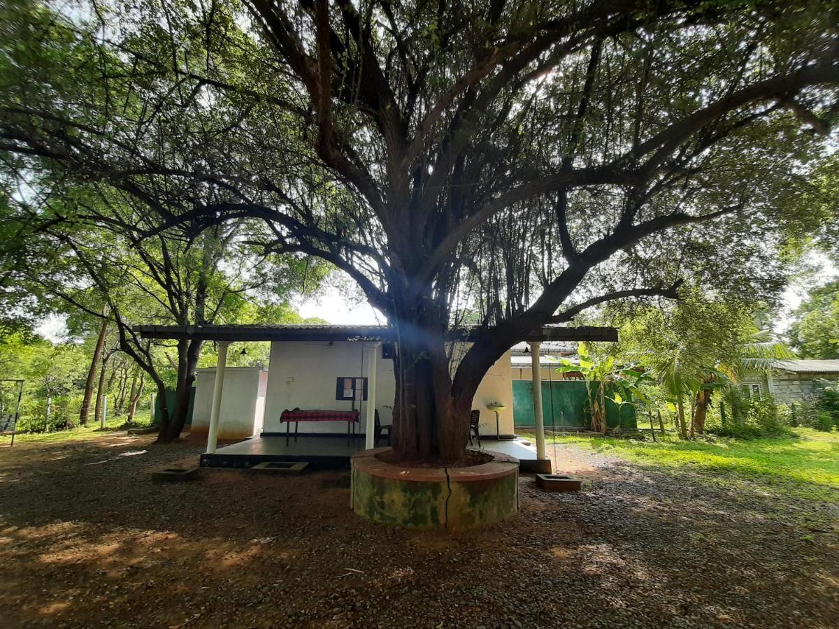 Katagamuwa Rest Otel Kataragama Dış mekan fotoğraf