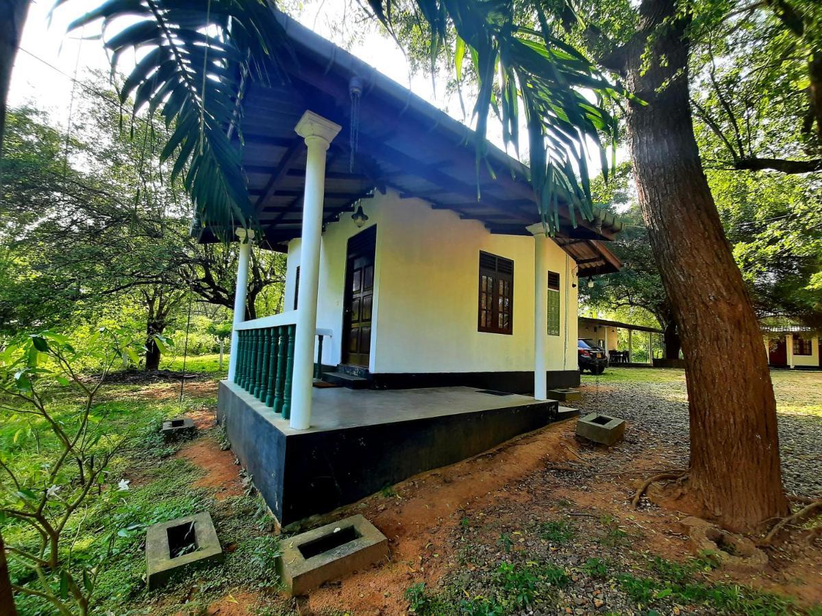 Katagamuwa Rest Otel Kataragama Dış mekan fotoğraf