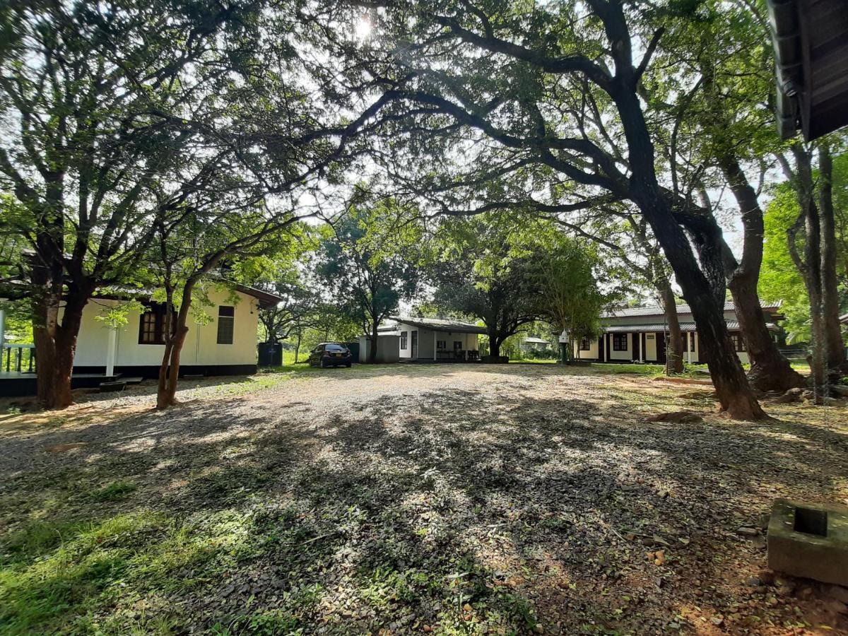 Katagamuwa Rest Otel Kataragama Dış mekan fotoğraf