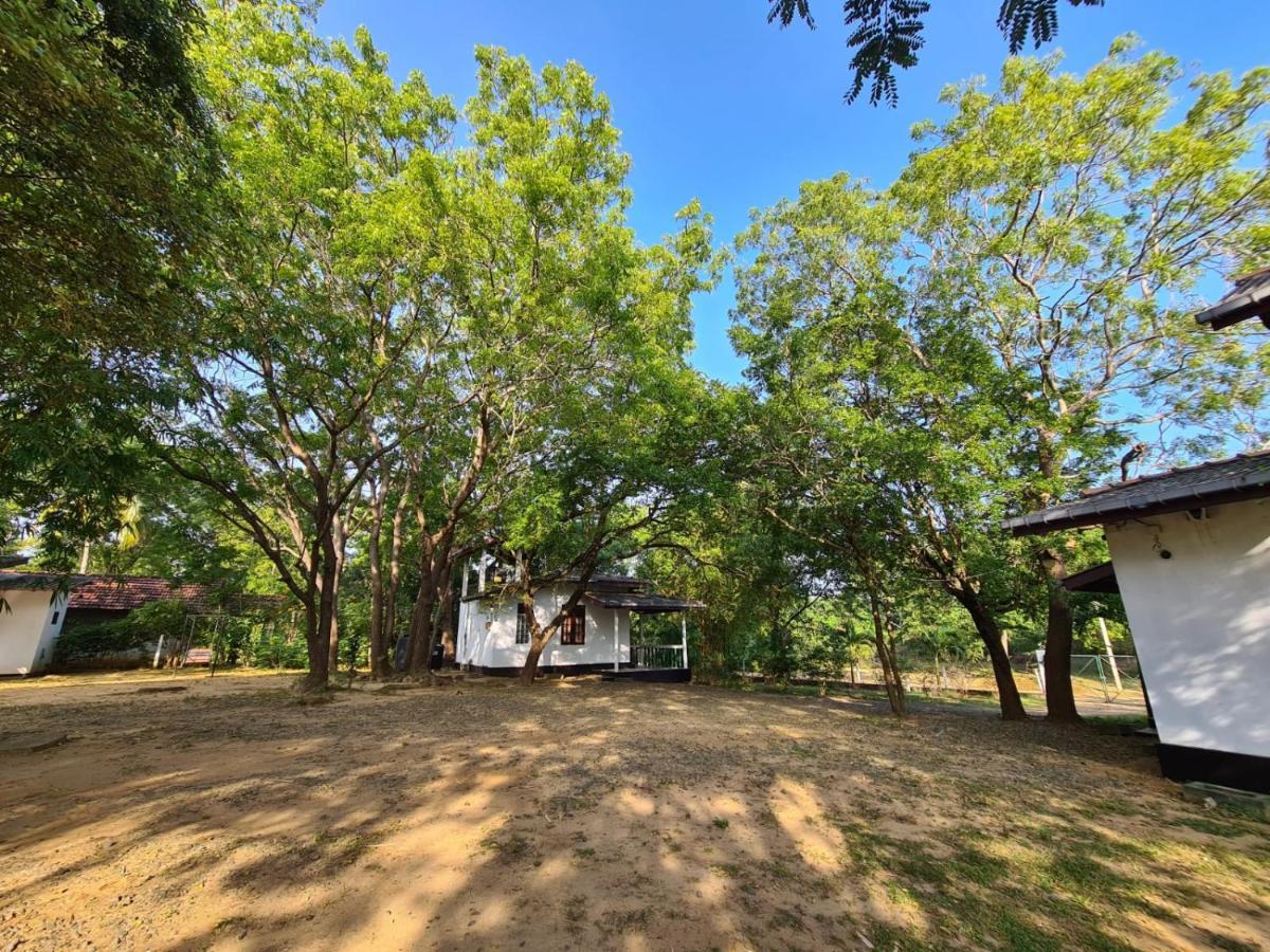 Katagamuwa Rest Otel Kataragama Dış mekan fotoğraf