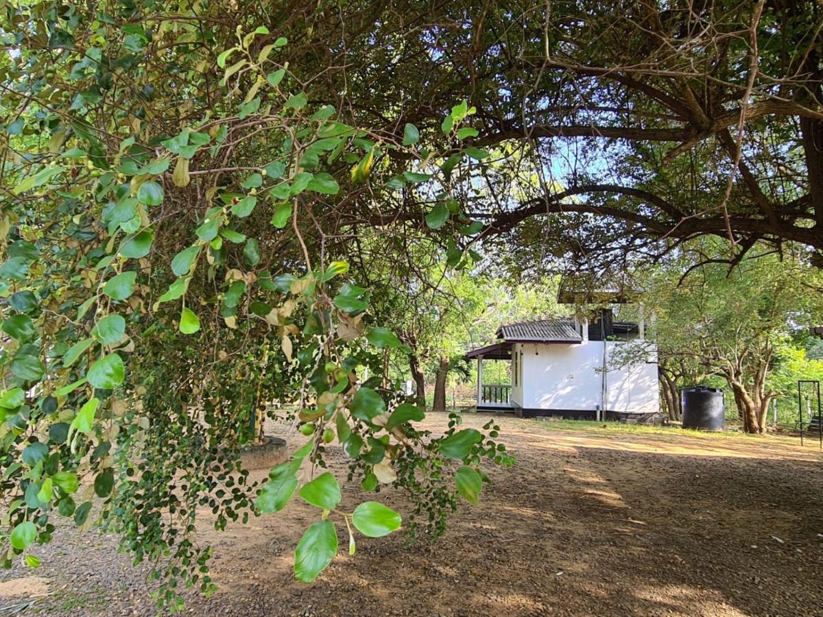 Katagamuwa Rest Otel Kataragama Dış mekan fotoğraf