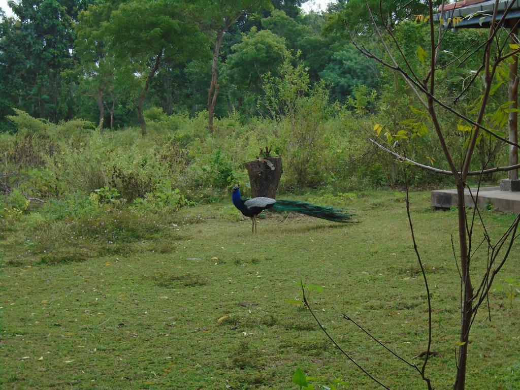 Katagamuwa Rest Otel Kataragama Dış mekan fotoğraf